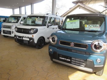 年度末に見直しはいかがですか？